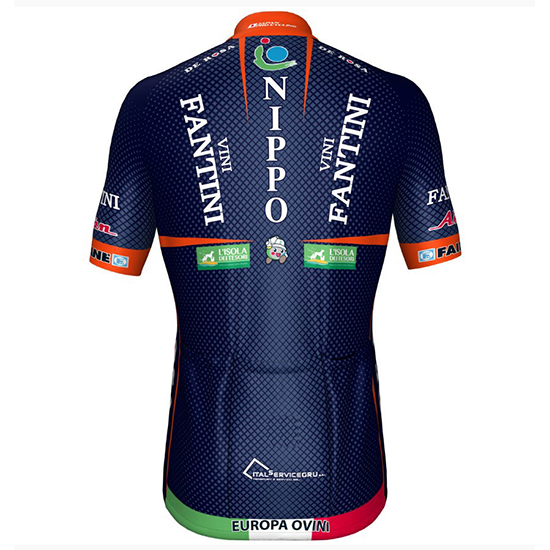 Nippo Vini Fantini Europa Ovini Kurzarmtrikot 2018 und Kurze Tragerhose Aus Blau